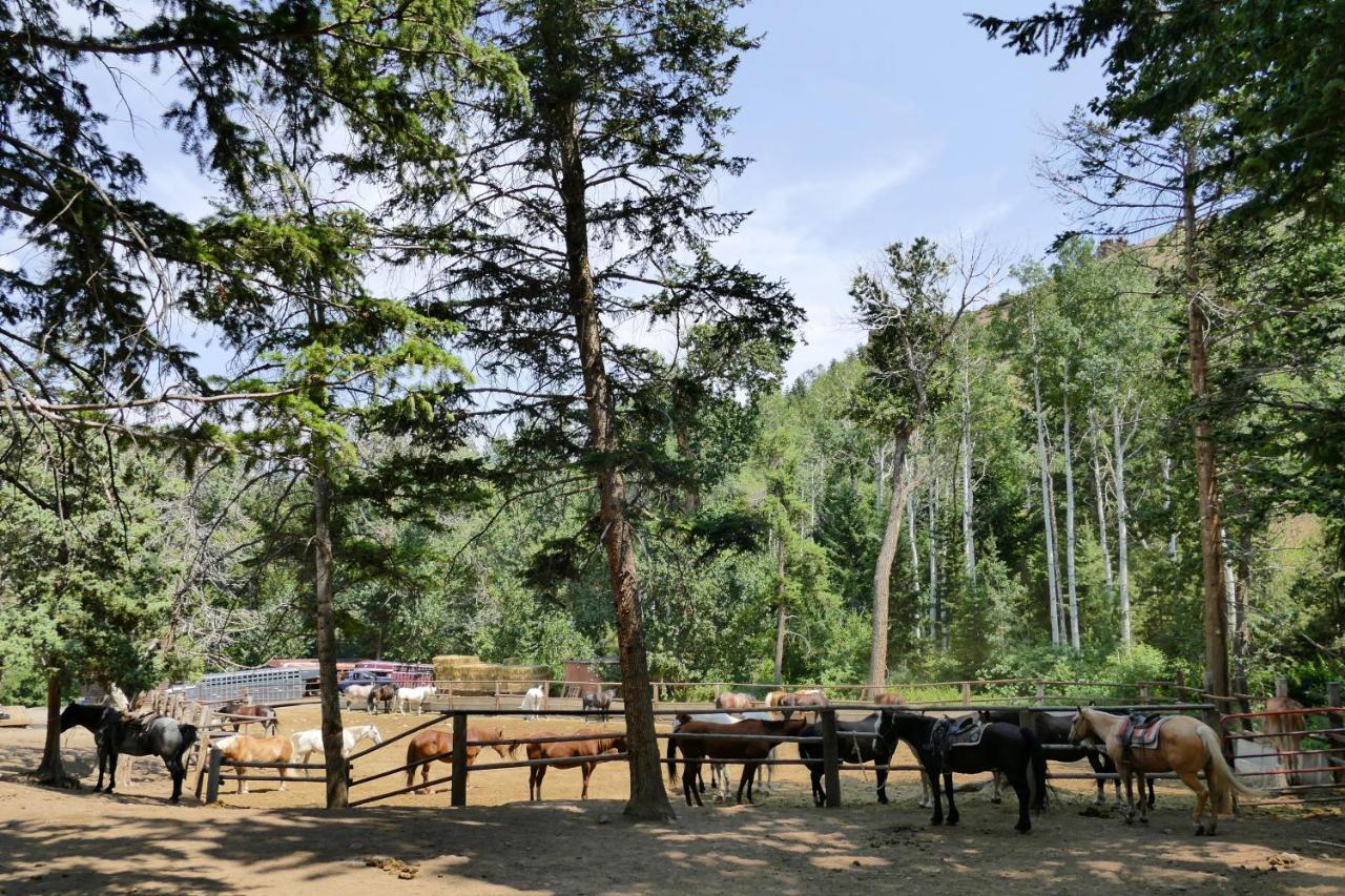 Bill Cody Ranch Hotell Eksteriør bilde